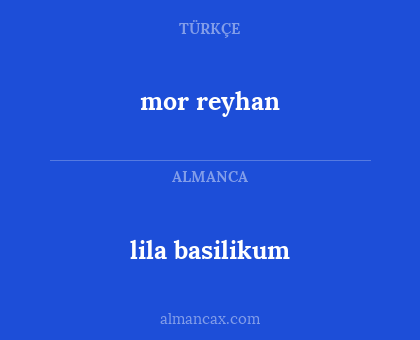 lila basilikum - mor reyhan