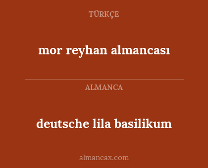 deutsche lila basilikum - mor reyhan almancası