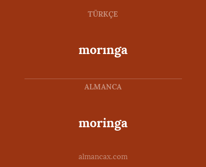 morınga - moringa