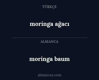 moringa baum - moringa ağacı
