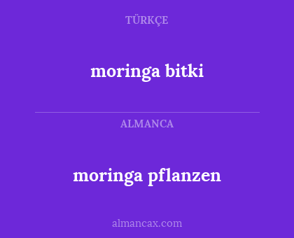 moringa bitki - moringa pflanzen