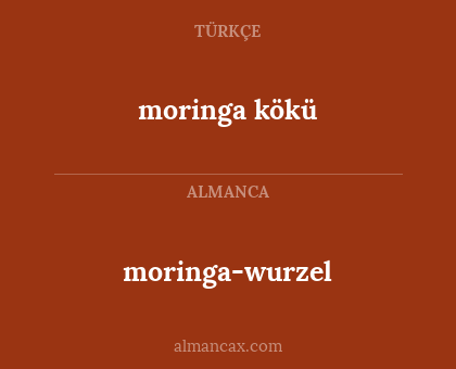 moringa kökü - moringa-wurzel
