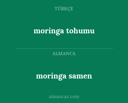 moringa tohumu - moringa samen