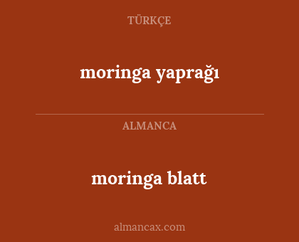 moringa blatt - moringa yaprağı