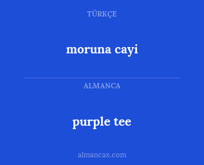 purple tee - moruna cayi