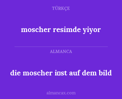die moscher i̇st auf dem bild - moscher resimde yiyor