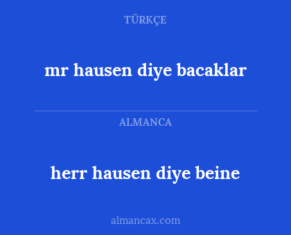 herr hausen diye beine - mr hausen diye bacaklar