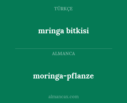 mringa bitkisi - moringa-pflanze