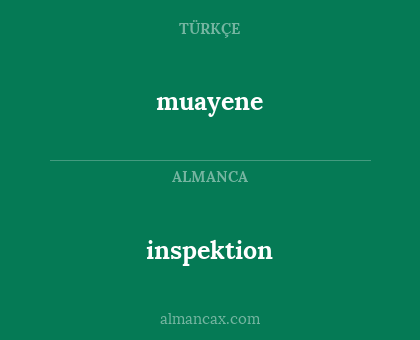 muayene - inspektion