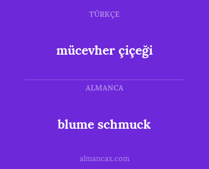 mücevher çiçeği - blume schmuck