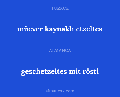 geschetzeltes mit rösti - mücver kaynaklı etzeltes