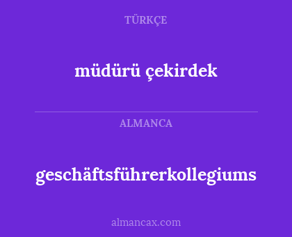 geschäftsführerkollegiums - müdürü çekirdek