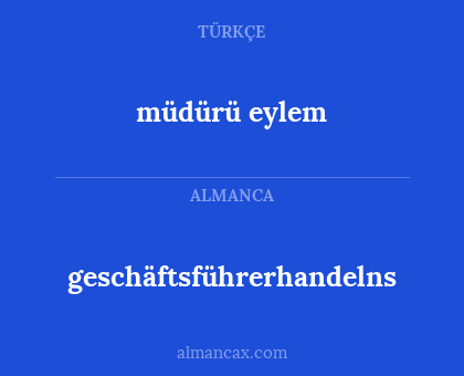 geschäftsführerhandelns - müdürü eylem