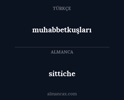 sittiche - muhabbetkuşları