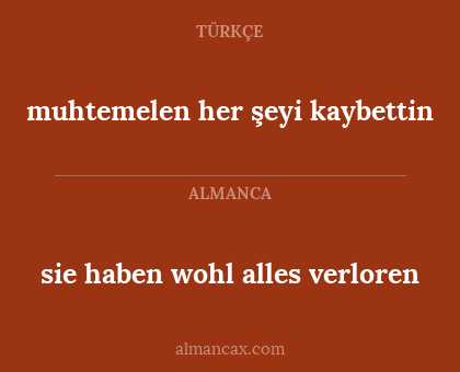 muhtemelen her şeyi kaybettin - sie haben wohl alles verloren