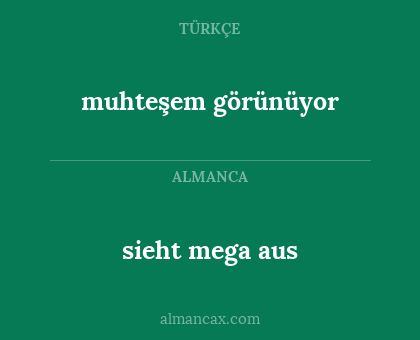 sieht mega aus - muhteşem görünüyor