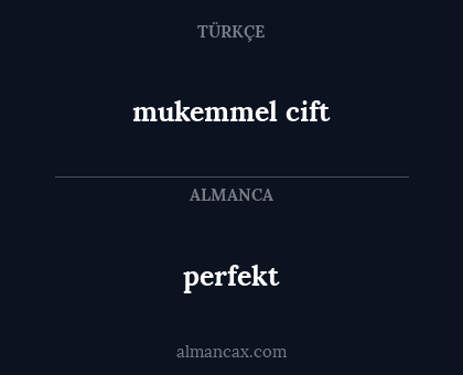 perfekt - mukemmel cift
