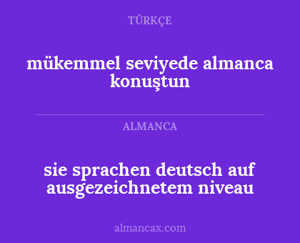 sie sprachen deutsch auf ausgezeichnetem niveau - mükemmel seviyede almanca konuştun