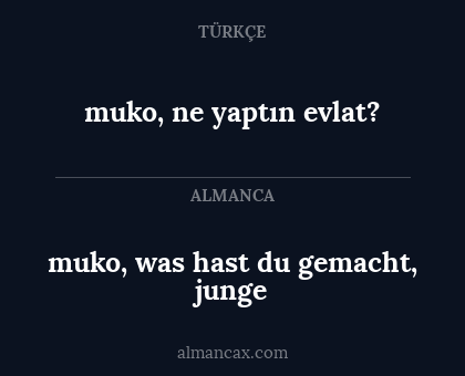 muko, ne yaptın evlat? - muko, was hast du gemacht, junge