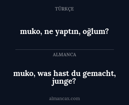 muko, ne yaptın, oğlum? - muko, was hast du gemacht, junge?