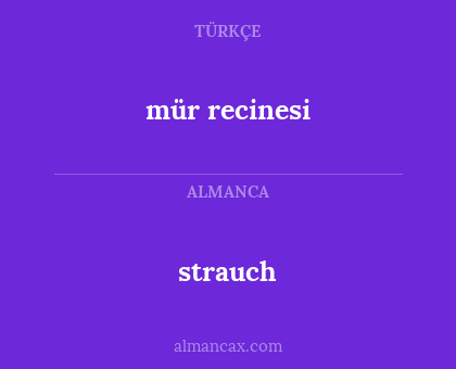 mür recinesi - strauch