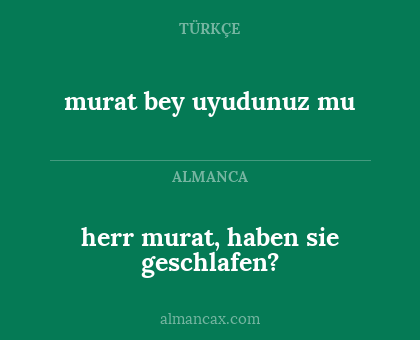 murat bey uyudunuz mu - herr murat, haben sie geschlafen?