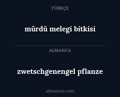 zwetschgenengel pflanze - mürdü melegi bitkisi