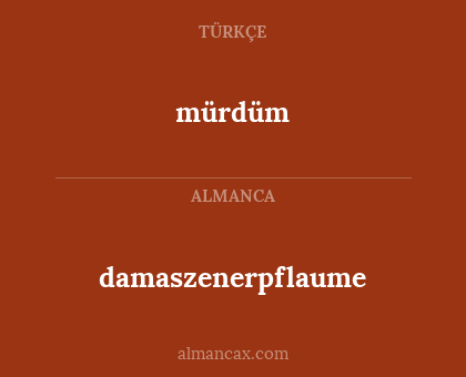 damaszenerpflaume - mürdüm