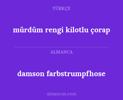 damson farbstrumpfhose - mürdüm rengi kilotlu çorap