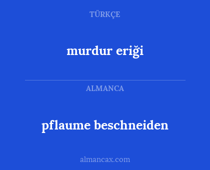 pflaume beschneiden - murdur eriği