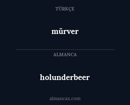 mürver - holunderbeer