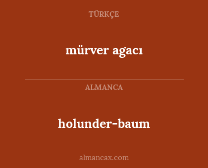 mürver agacı - holunder-baum