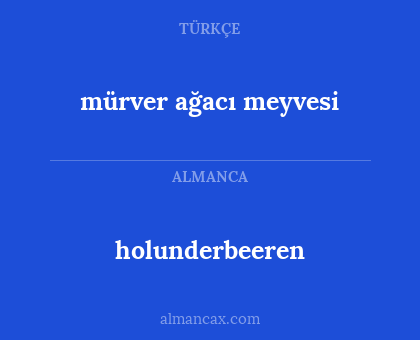 holunderbeeren - mürver ağacı meyvesi