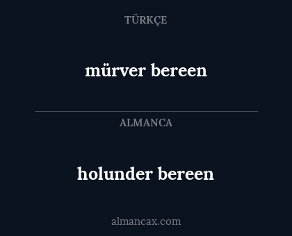 mürver bereen - holunder bereen