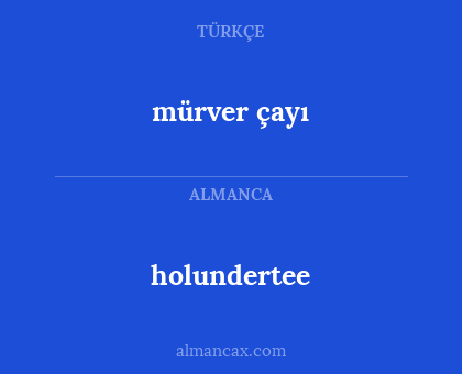 mürver çayı - holundertee
