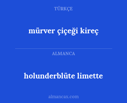 holunderblüte limette - mürver çiçeği kireç