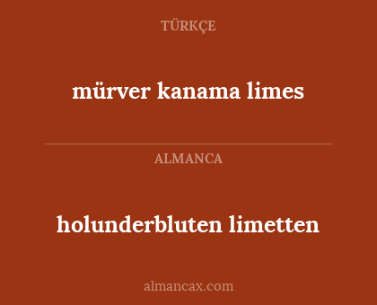 mürver kanama limes - holunderbluten limetten