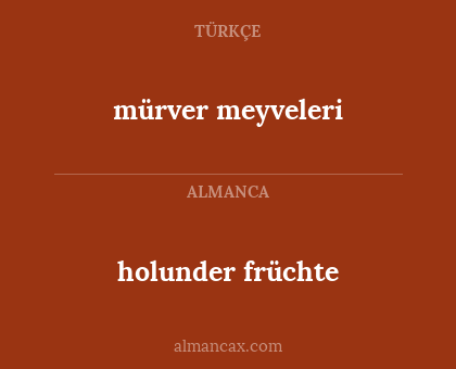 holunder früchte - mürver meyveleri