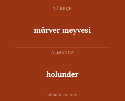 holunder - mürver meyvesi