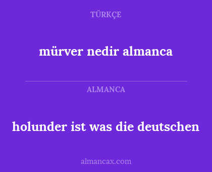 mürver nedir almanca - holunder ist was die deutschen