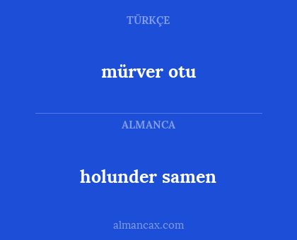 holunder samen - mürver otu