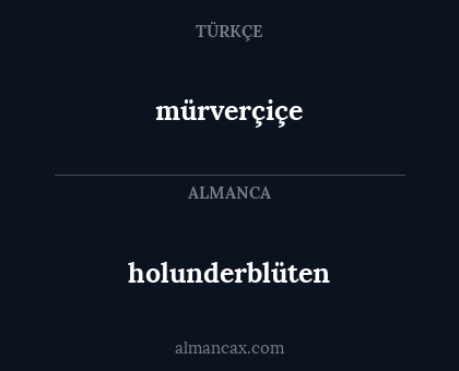 mürverçiçe - holunderblüten