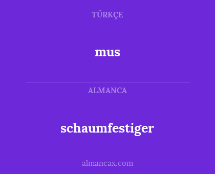 schaumfestiger - mus