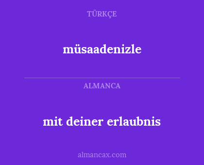 müsaadenizle - mit deiner erlaubnis