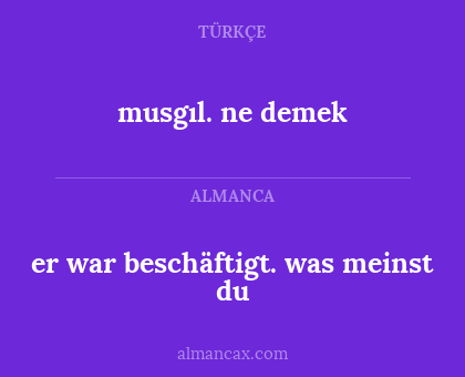 er war beschäftigt. was meinst du - musgıl. ne demek