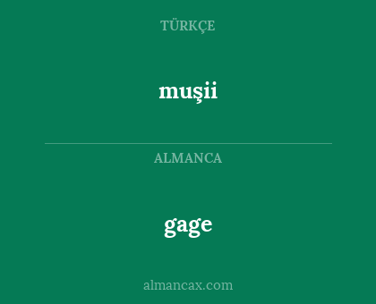 gage - muşii