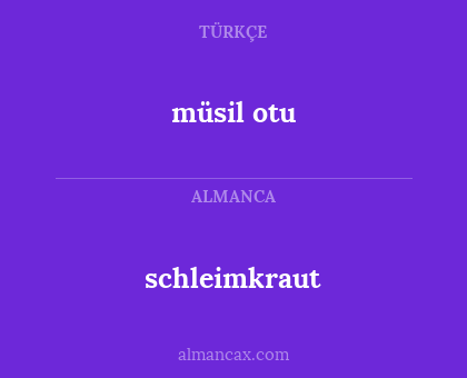 schleimkraut - müsil otu