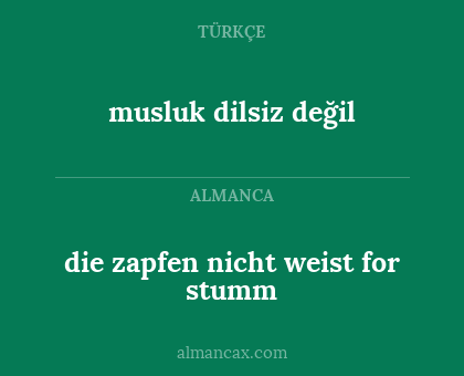 musluk dilsiz değil - die zapfen nicht weist for stumm