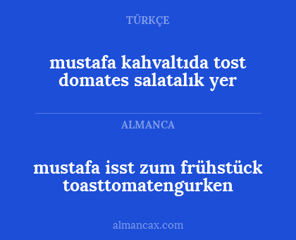 mustafa isst zum frühstück toasttomatengurken - mustafa kahvaltıda tost domates salatalık yer