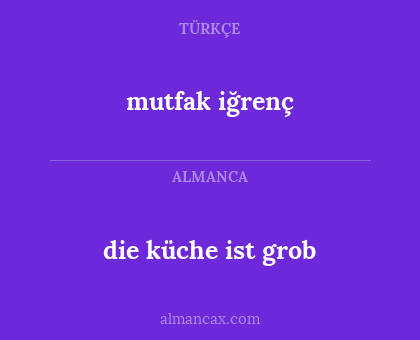 mutfak iğrenç - die küche ist grob